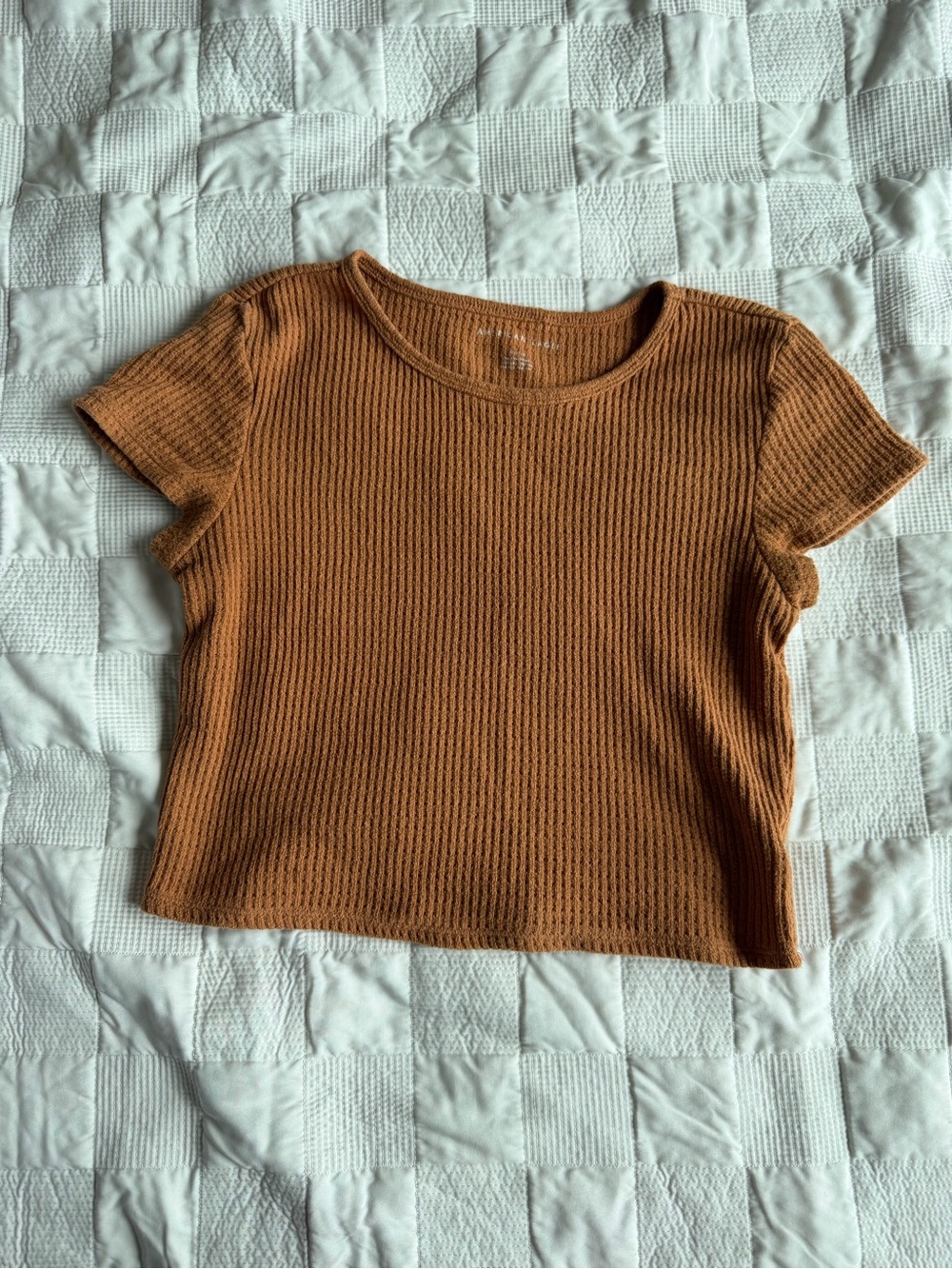 AE waffle knit Short-Sleeve Crop Top in Rust